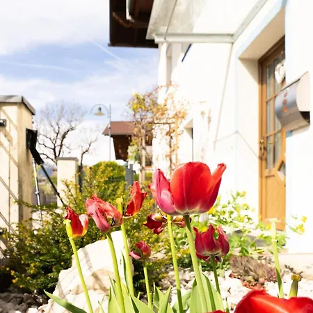 Haus Treff